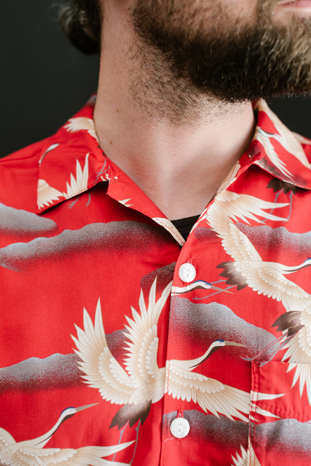 Hawaiian Shirt Cranes - Red